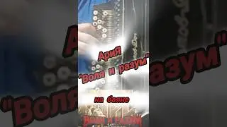 Ария на баяне #ария #кипелов #баян #ариякавер