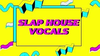 SLAP HOUSE VOCALS -  FREE DOWNLOAD / MAXIMUM STUDIO