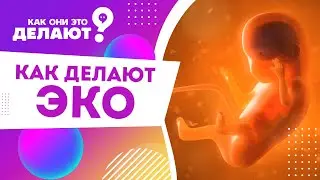 Как делают искусственное оплодотворение или, проще говоря, - ЭКО / Как они это делают?