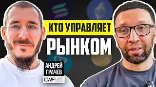 WHO CONTROLS THE MARKET?! Why is NOT growing? — Andrey Grachev and DWF Labs