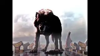 Hulk Status | Bruce Banner Transformation | Thor Ragnarok