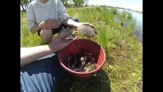 Первая рыбалка на карася в июне 2019 (ДЕНЬ)