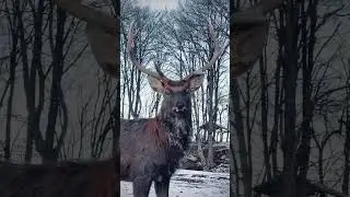 АЛМАК КАЗБЕКОВСКИЙ РАЙОН.