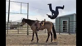 NEW TRICK HORSE! Trick Riding Vlog - Week Three, Part One