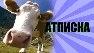 Небольшие проблемы с компьютером