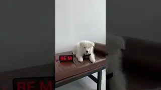 Будь моим самоедом💔 inst: samoed_spb