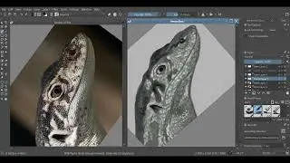 Scale Speed Paint