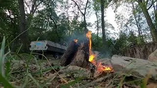 Midwest Woods Campfire #chill #nature #fire #outdoors #relax #asmr