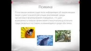 Психология урок 9 Понятие психики