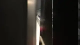 Беженцы в Италии