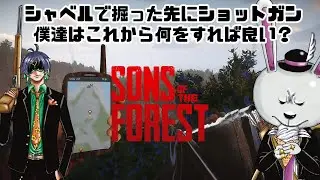 とあるバンドのベーシストがやる「Sons Of The Forest」