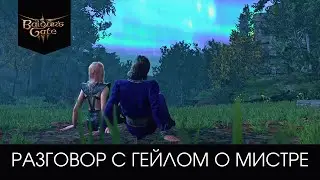 Разговор с Гейлом в лагере о Мистре на фоне волшебного серверного сияния - Baldur's Gate 3