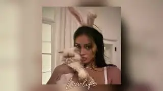 Lowlife ~ Poppy // Sped up🎀