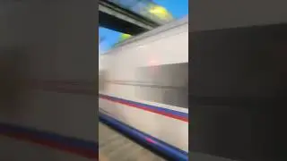 Сапсан пролетел мимо меня #сапсан #лесьяр #бологое