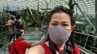 JEWEL CHANGI AIRPORT SINGAPORE | CANOPY BRIDGE