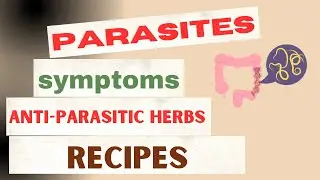 Parasites, symptoms, herbs, recipes
