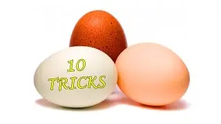 10 SIMPLE TRICKS AND EXPERIMENTS WITH EGGS