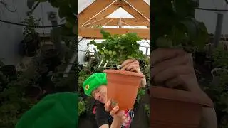 🥀 Лаботать на себя ПЛЕКЛАСНО 🫠 
