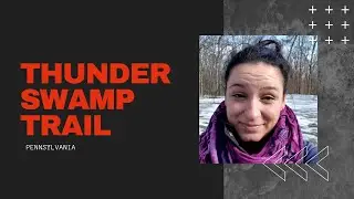 Thunder Swamp Trail, PA