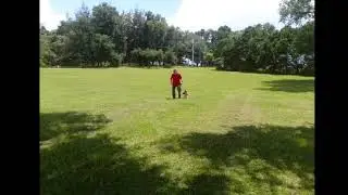 Orlando Dog Training with Central Florida Dog Trainer, Bob Gailey.