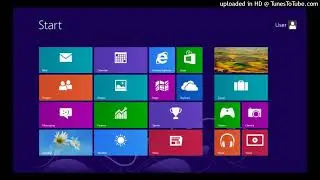 Windows 8