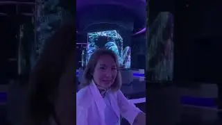 Поездка в Inspire Entertainment resort