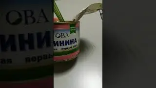 Тушёнка ОВА, что за ГОСТ? Где мясо?