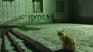 heee heee song