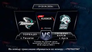 Торнадо (с.Тюлячи) - Снежные Барсы(г.Арск)