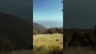 Chasing them views