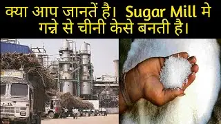 क्या आप जानते हैं चीनी कैसे बनती है ! Do you know how sugar made in factory. sugar production hindi