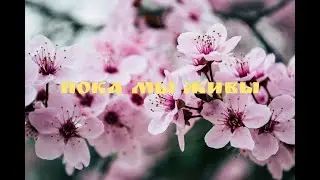 Пока мы живы, можно все исправить. часть 1 
