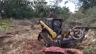 CAT 289D Forestry Mulcher, OnSiteTrav