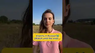 Insects in Russian