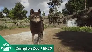 Timber Wolf Habitat | Tampton Zoo EP20 | Planet Zoo