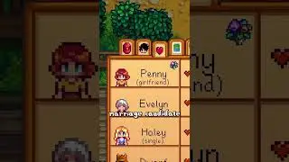 Stardew Valley Friendship- SDU 