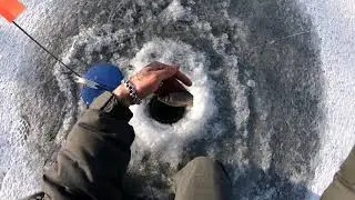 Зимняя рыбалка 🔥