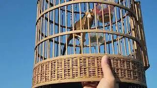 VỪA ĐI CHƠI VỪA HÓT [ 0965996968]