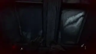Ворую какашки