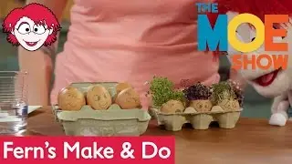 The Moe Show: Fern's Make & Do — Make Cress Heads with Sarah Frizzell