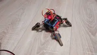 quad robot