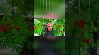 Немного о себе и о Карелии