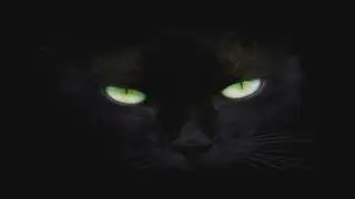Como pasar videos MKV al Sony vegas  [ 2019]  [ Tres maneras]