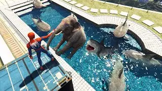 سبايدرمان يربي أسماك القرش في المسبح 2 قراند 5 GTA V Spiderman Raises Sharks 2