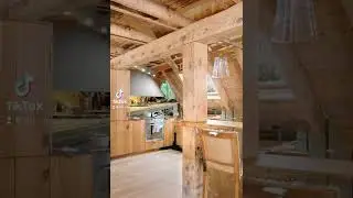 Дерево в интерьере