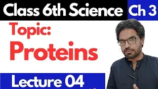 Proteins | Class 6th Science - Unit 03 | Balanced Diet | Lecture 04