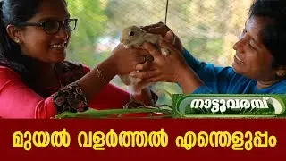 RABBIT FARMING - മുയൽ വളർത്തൽ എന്തെളുപ്പം | NATTUVARAMBU -ACHAYANS FARM
