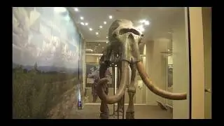 Древнющая древность
