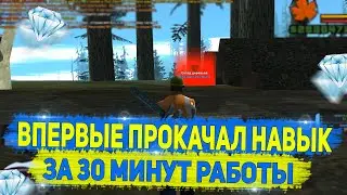 ВПЕРВЫЕ ПОЛУЧИЛ НАВЫК ЗА 30 МИНУТ РАБОТЫ НА DIAMOND RP GTA SAMP