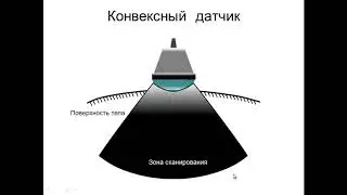 Введение в УЗД.Ориентация и типы датчиков